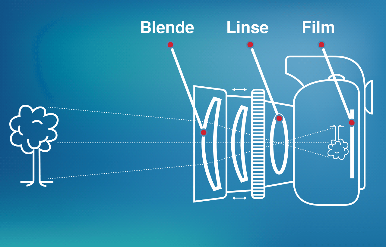 Auge Fotokamera Vergleich Grafik